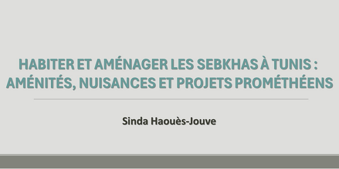 Habiter et aménager les sebkhas à Tunis : aménités, nuisances et projets prométhéens