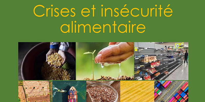 Séminaire « Crises et insécurité alimentaire »
